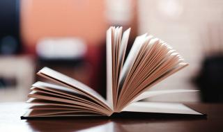 宁波动物园老虎咬人 宁波动物园老虎咬人